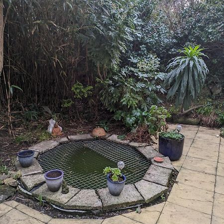 The Garden Apartment St Ives 외부 사진