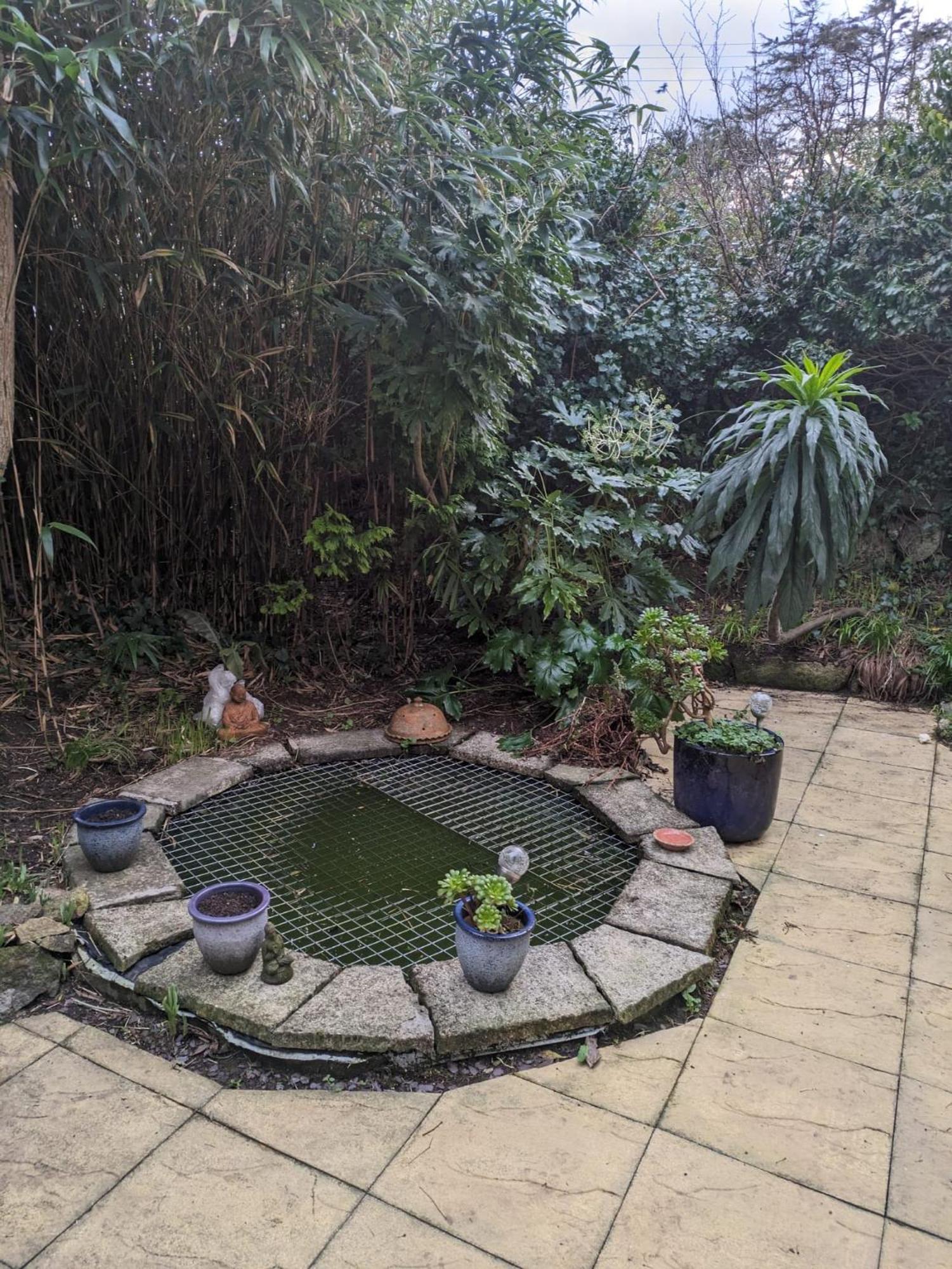 The Garden Apartment St Ives 외부 사진